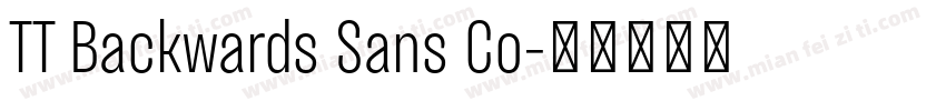 TT Backwards Sans Co字体转换